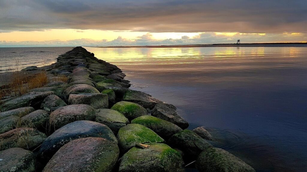 Pärnu muul
